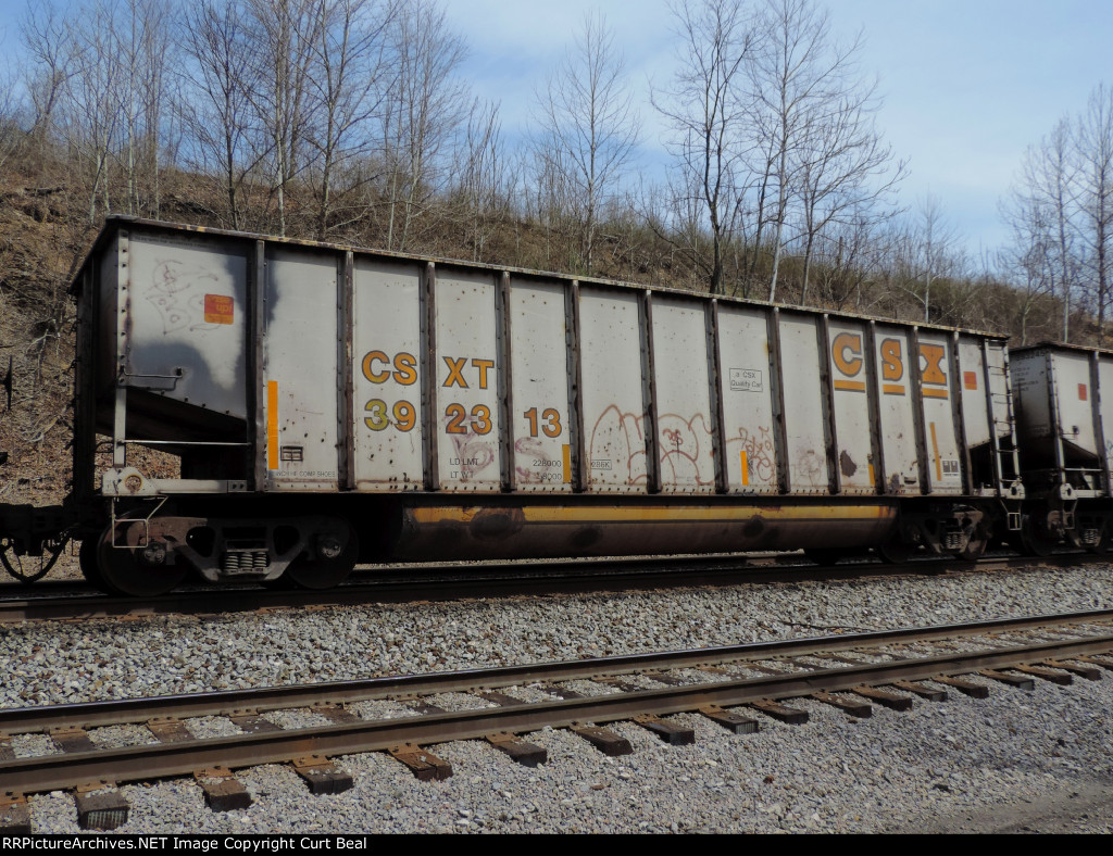 CSX 392313
